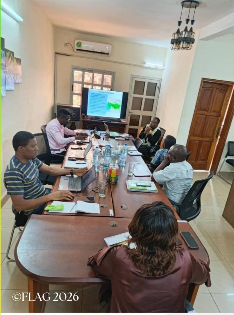 FLAG Cameroon tweet media