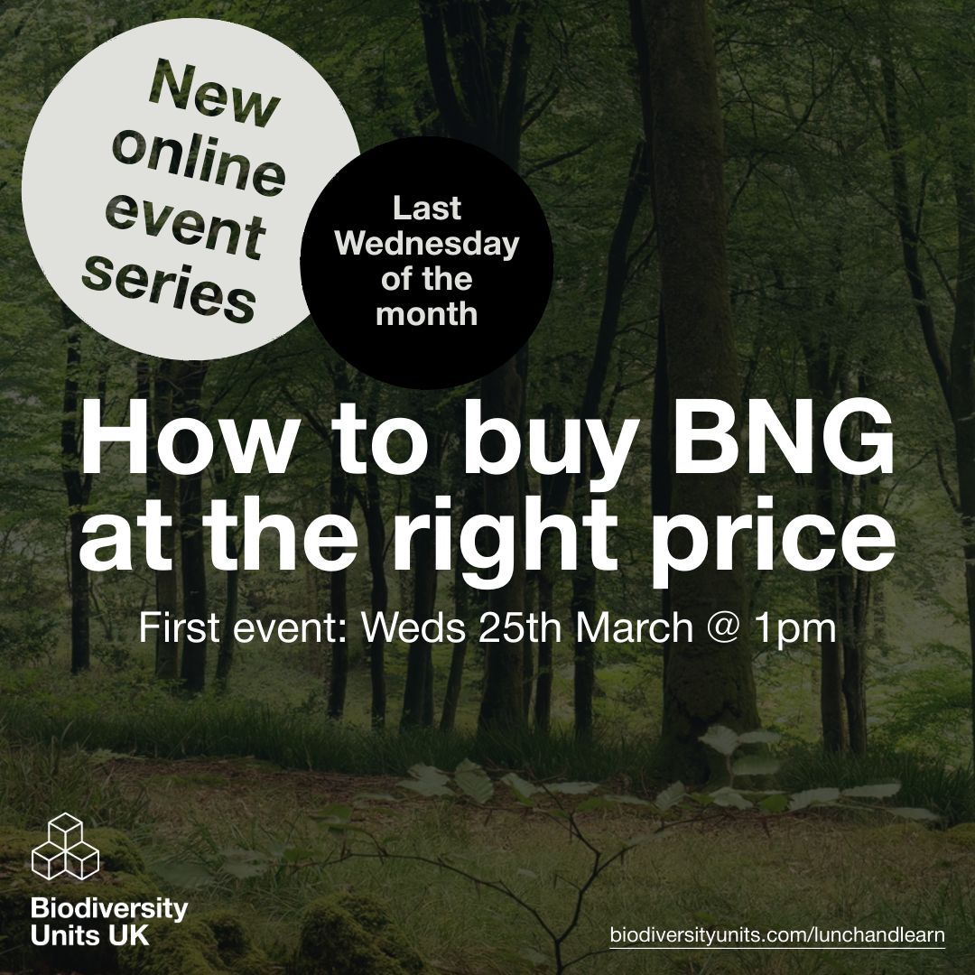 BNG Insights tweet media