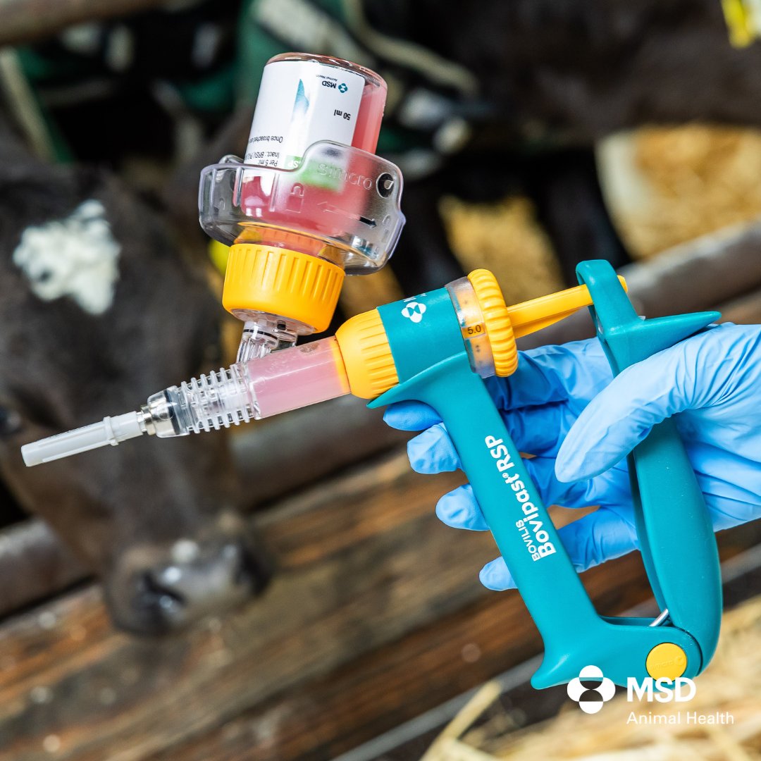 MSD Animal Health - Livestock tweet media