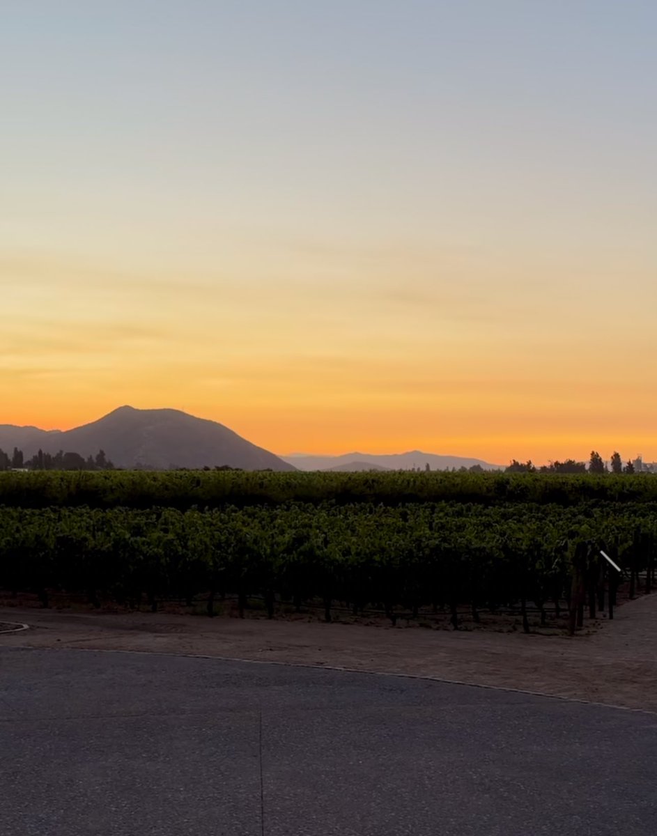 Bad Bunny makes posts on Instagram about his time in Chile and promises to perform “120” in the country in the future. 🇨🇱❤️