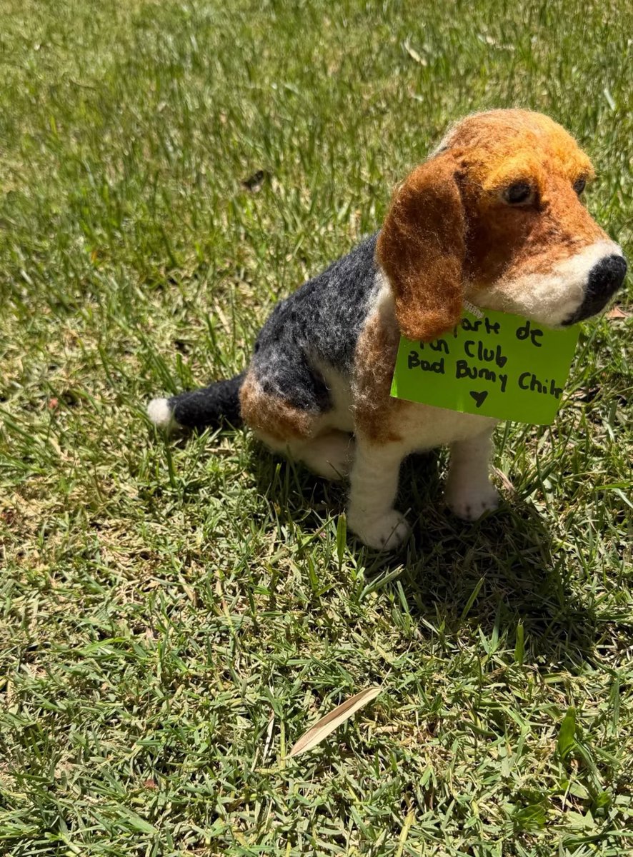 Access Bad Bunny tweet media