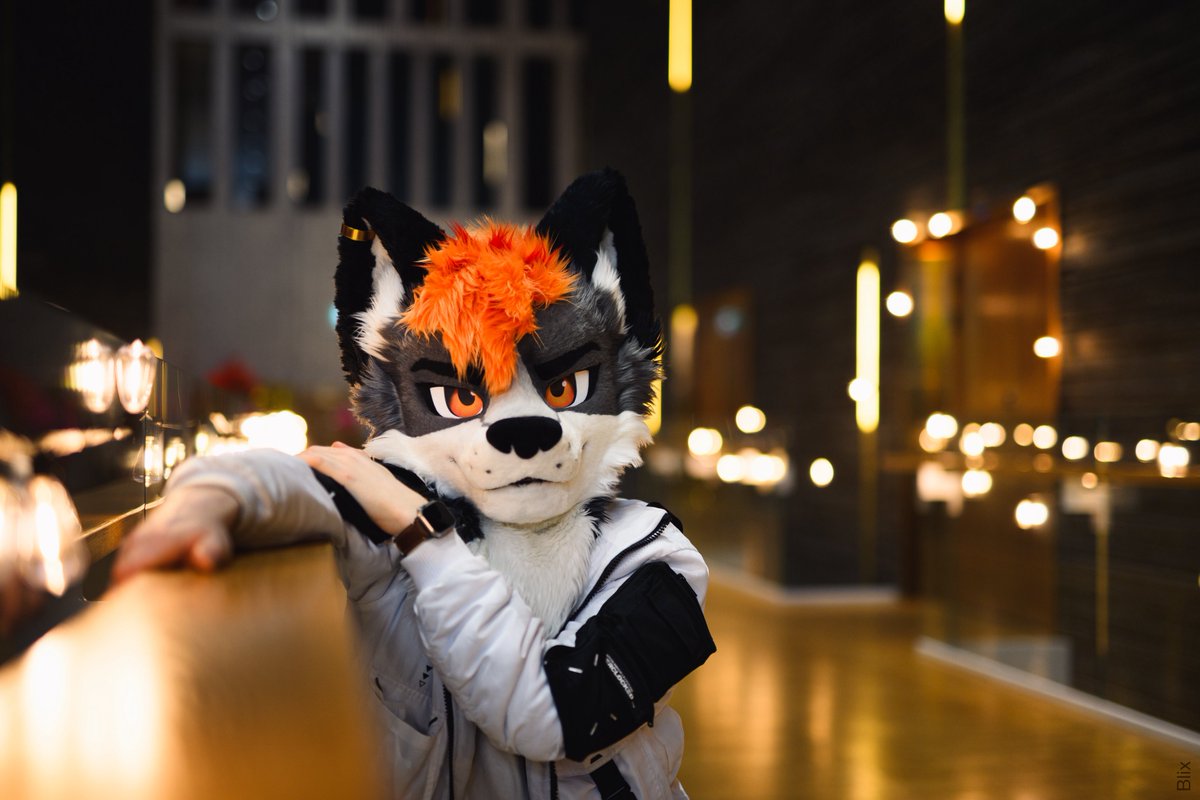 Kaida NFC/EF/EAST tweet media