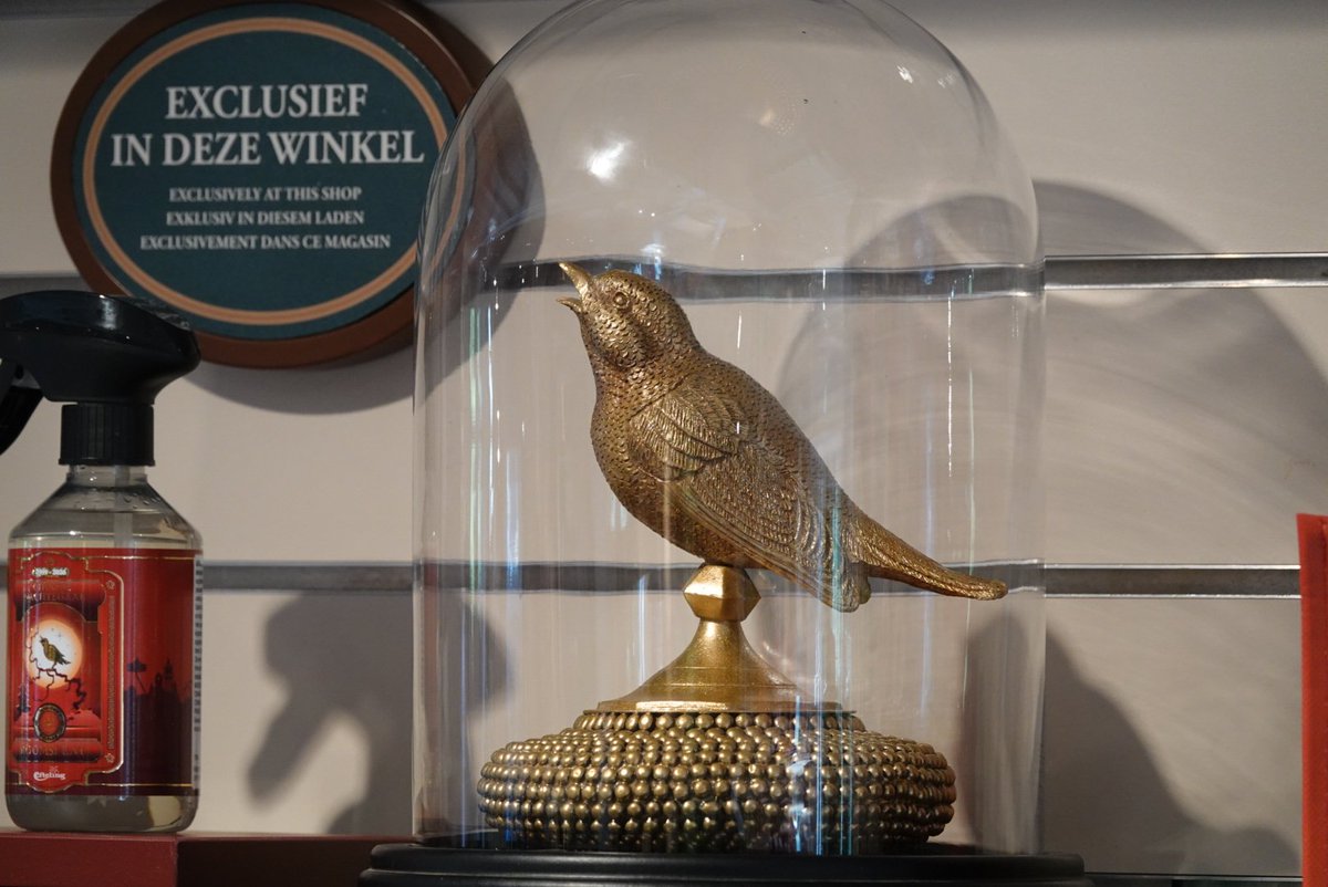 Jeroen Fotografie📷 tweet media