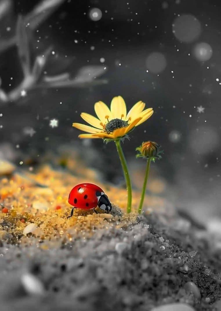 AdeaClaude's tweet photo. 🐞🐞🐞Les bêtes sont au bon Dieu, mais la bêtise est à l’homme.

Victor Hugo https://t.co/gbOUYhB6bf