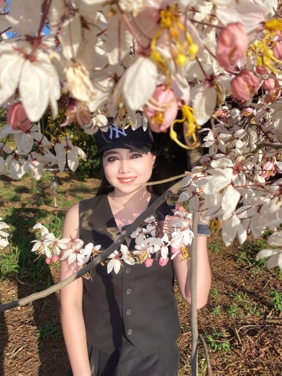 NuyDiary's tweet photo. Trust the timing of your life. 🌸
#sakura #ดอกกัลปพฤกษ์ #ลพบุรี #thailand🇹🇭 #amzingthailand #thailand #amzing #Lobburi #เที่ยวทั่วไทย https://t.co/fqzxn0ID29