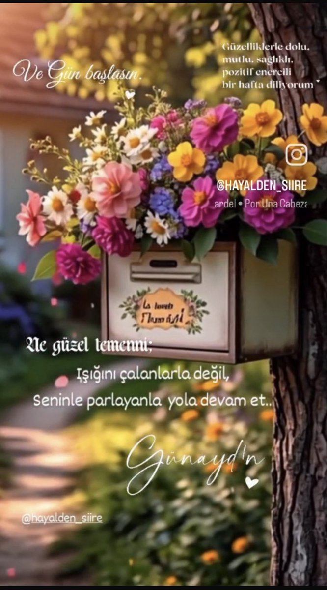 Serpil11883995's tweet photo. MUTLU  GÜNLER diliyorum. #Hepinize 🌞☀️🕊️🍀🦋🐞🧚‍♀️🧿💙❤️☕️😊🤗
Bugün çok güzel. Bir gün olsun.bizim için 🌺 https://t.co/XTZW1oAssX
