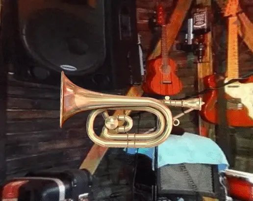 Bacteriomaker3d's tweet photo. 🎺 Corneta • archivos STL
➡️ Descargar modelo para impresión 3D: https://t.co/K7aPPXnlJz
💡 Diseñado por @Bacteriomaker3d
⏩20% Off all models ⏪ 
@cults3d #Impresión3D #Impresora3D #Imprimible #ArchivoSTL #SemanaSanta2026 https://t.co/4kgrTJMOXD