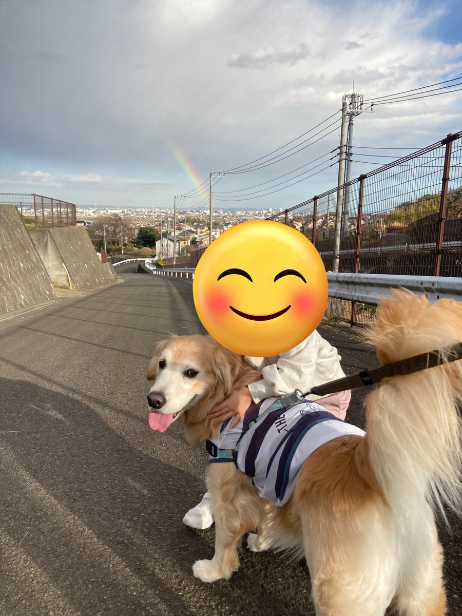 Ponponsherry's tweet photo. 虹🌈 https://t.co/5BDGcBBkKT