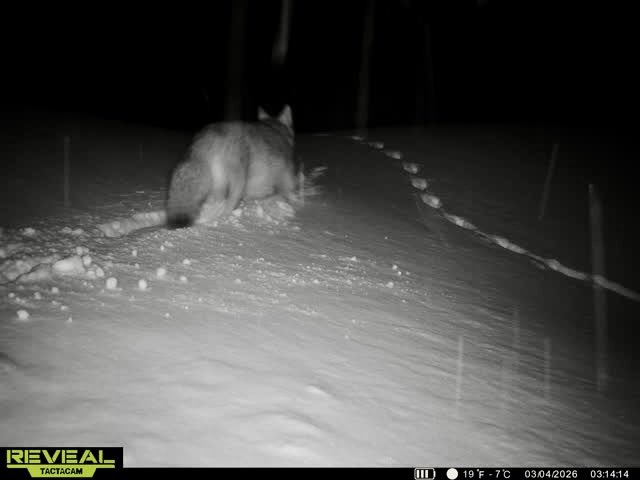 Jim 🇨🇦 tweet media