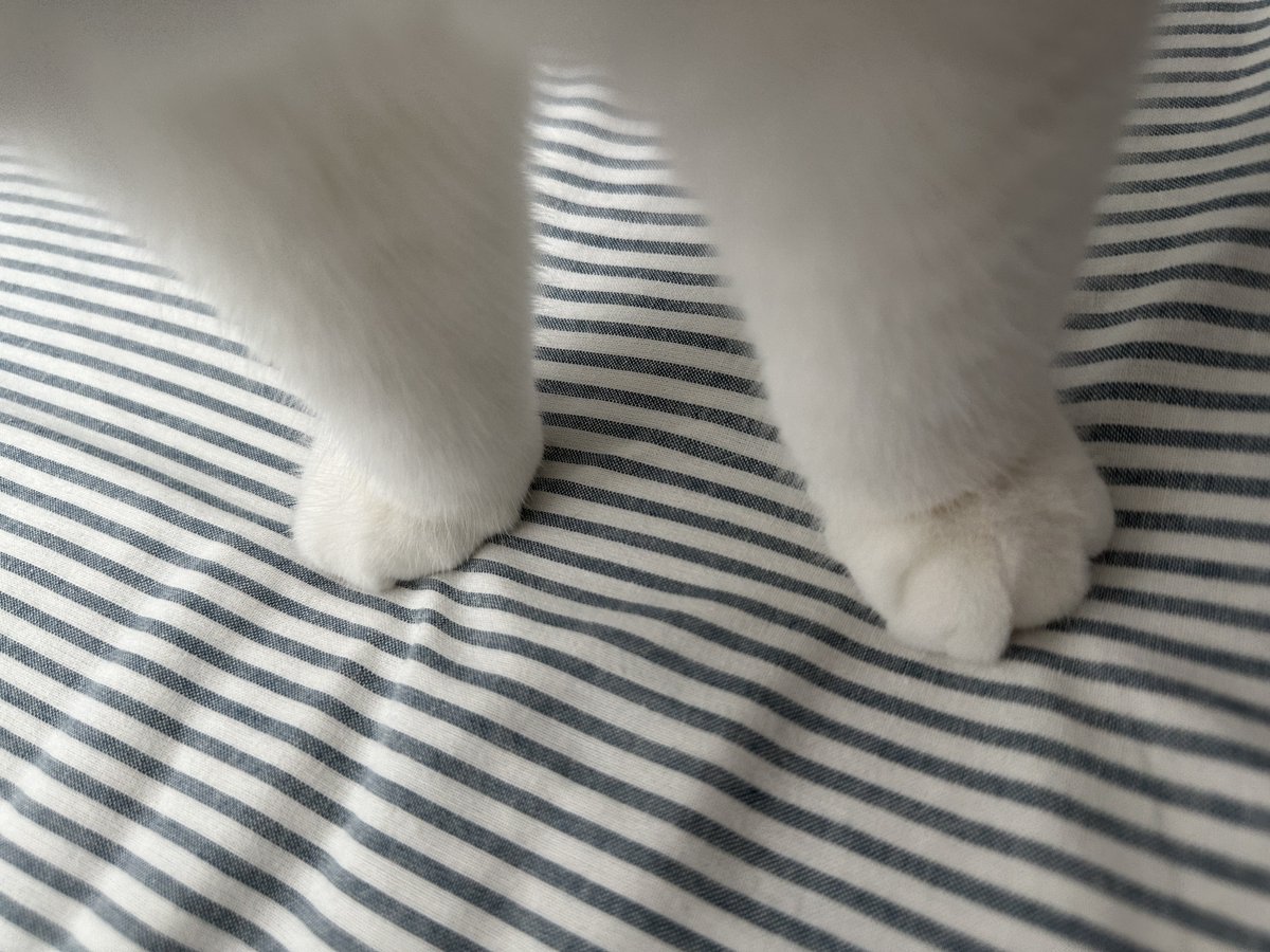 อยากกัดอะ