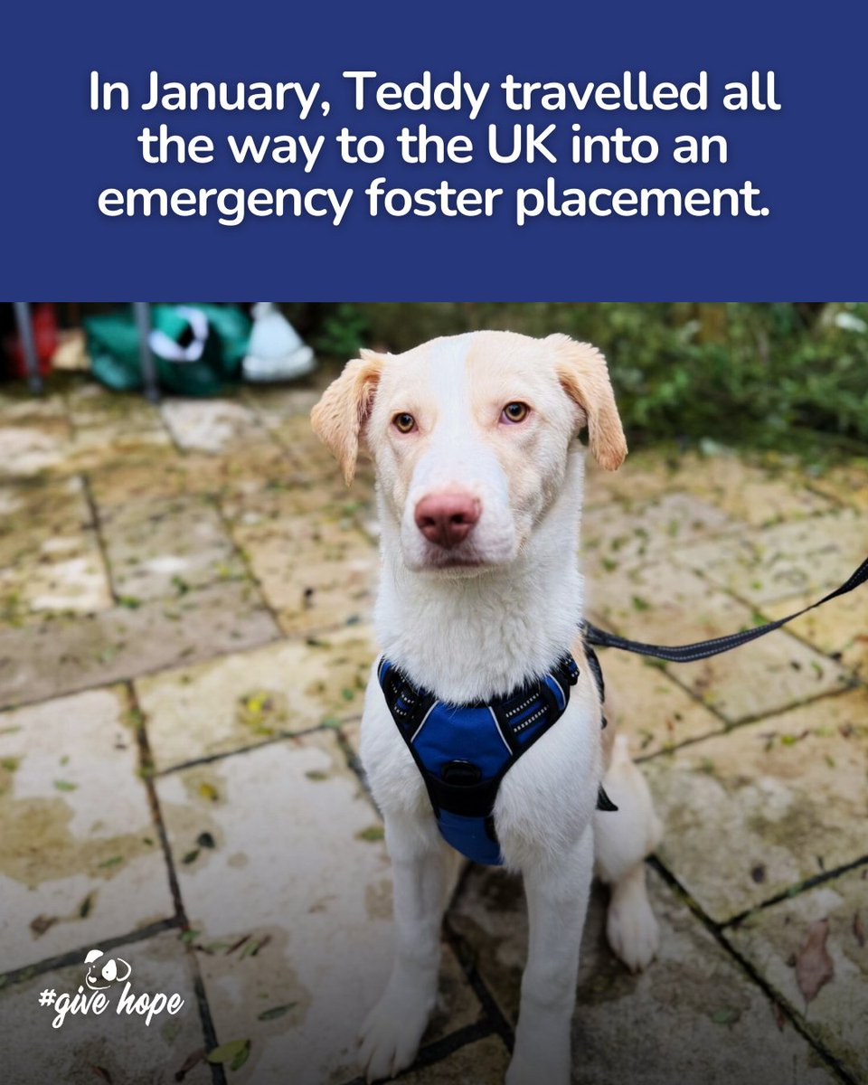 ROLDA Org tweet media