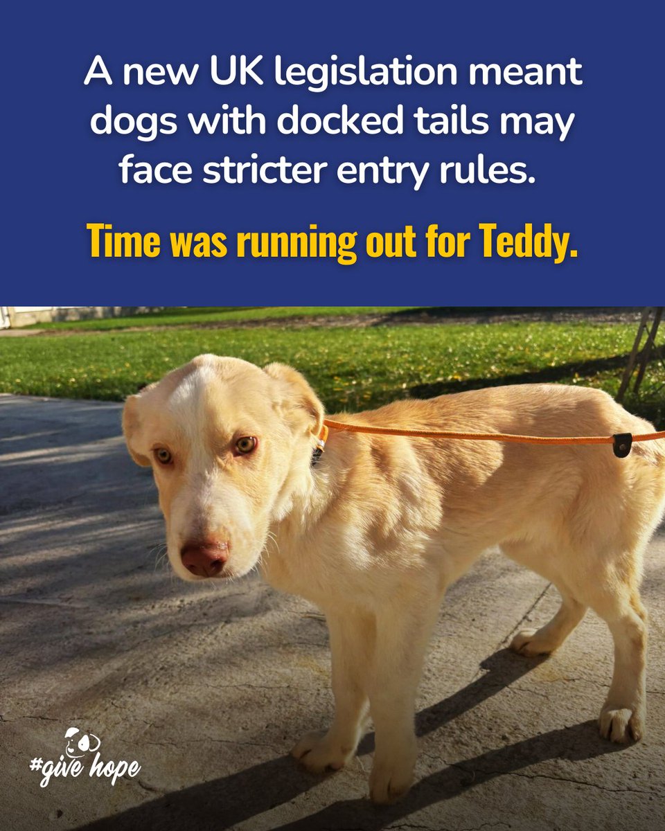 ROLDA Org tweet media