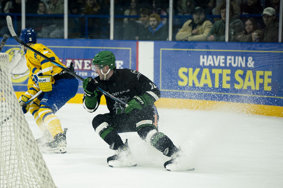 Basingstoke Bison tweet media