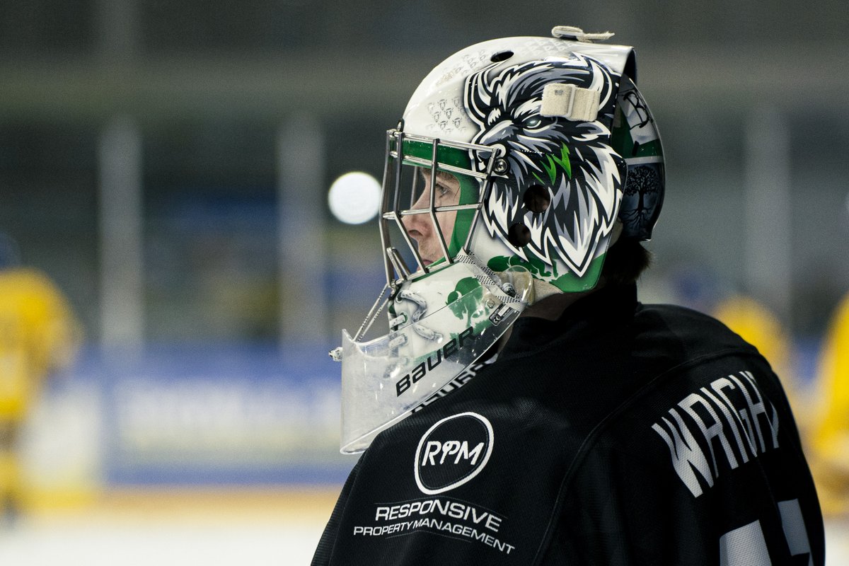 Basingstoke Bison tweet media