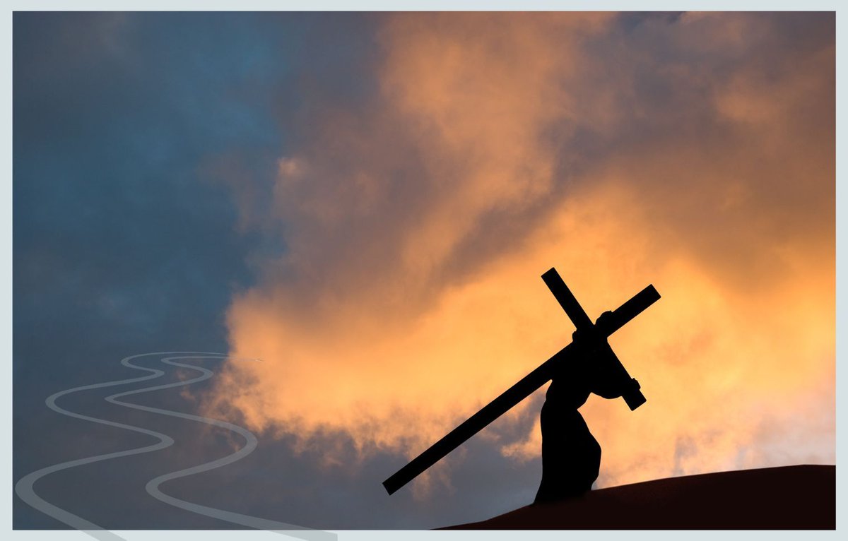 Jesuits of Canada tweet media