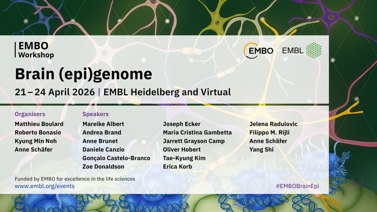 The FEBS Journal tweet media