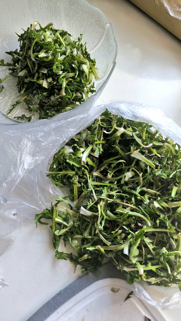 vogrinčeva tweet media