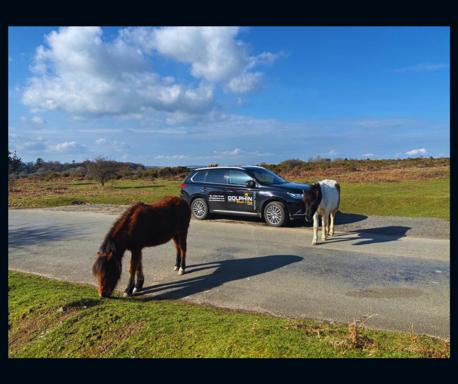 Dolphin StairliftsSW tweet media