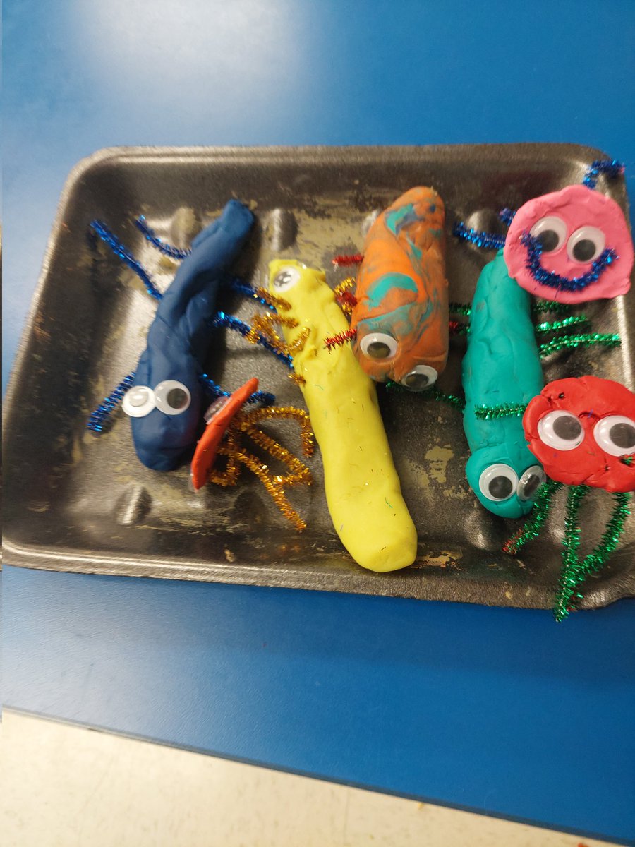 Victoria Bradley tweet media