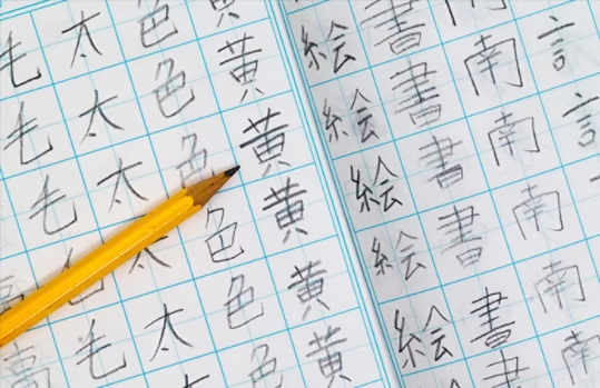 AUTOMATON WEST tweet media