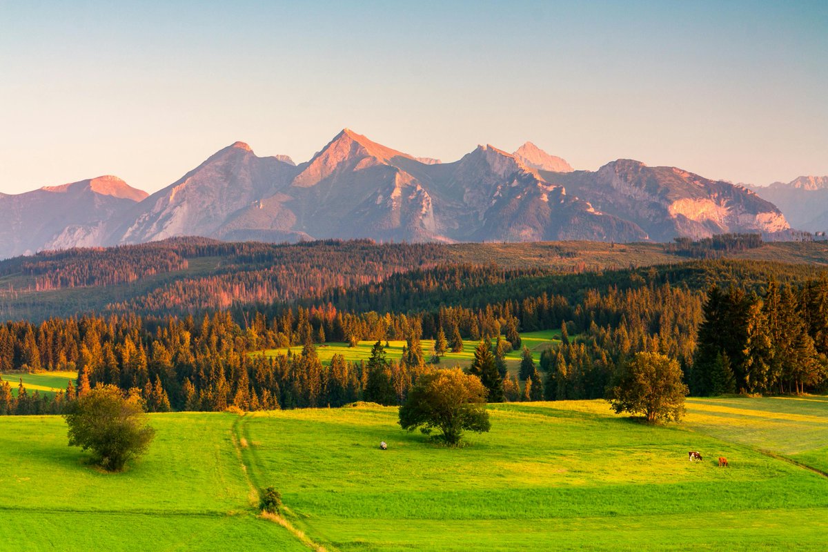 🍀
الصبر في الشدة.. هو أجمل ما يُكتب في صحيفتك..
لا تتسرع، فالله يدبر لك ما هو خير..
اصبر واستغفر، وستجد الفرج أقرب مما تتوقع..
كل ابتلاء يمر يقربك أكثر من ربك..
اللهم ثبت قلوبنا واجعلنا من عبادك الصابرين 💫
🌙