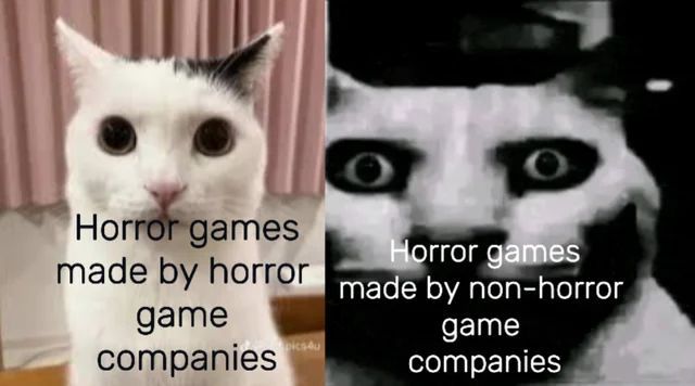 memes to save tweet media