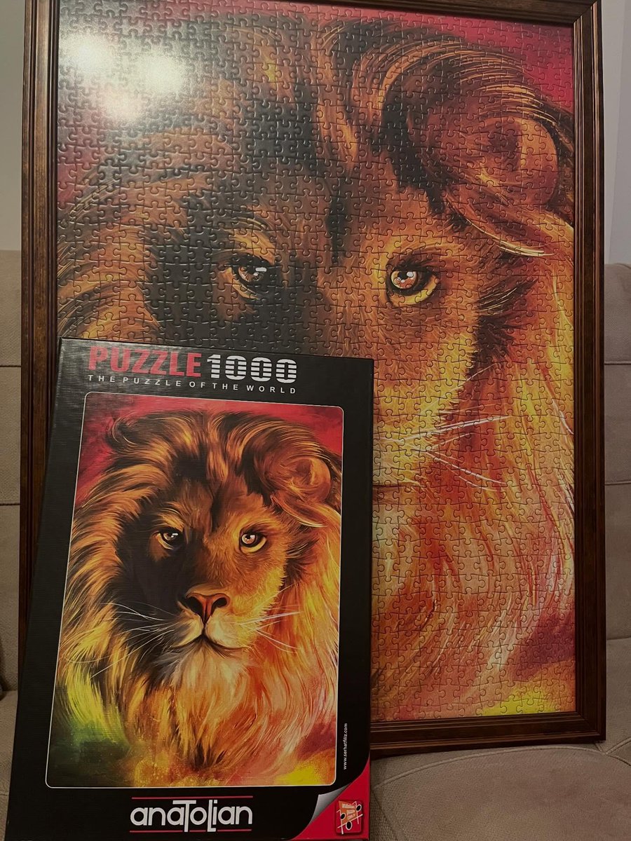 @puzzlegunlugu bizimle paylaşmış 

#aslan
#gs
#galatasaray
#puzzle
#1000piecepuzzle
#anatolianpuzzle #jigsawpuzzle 
•