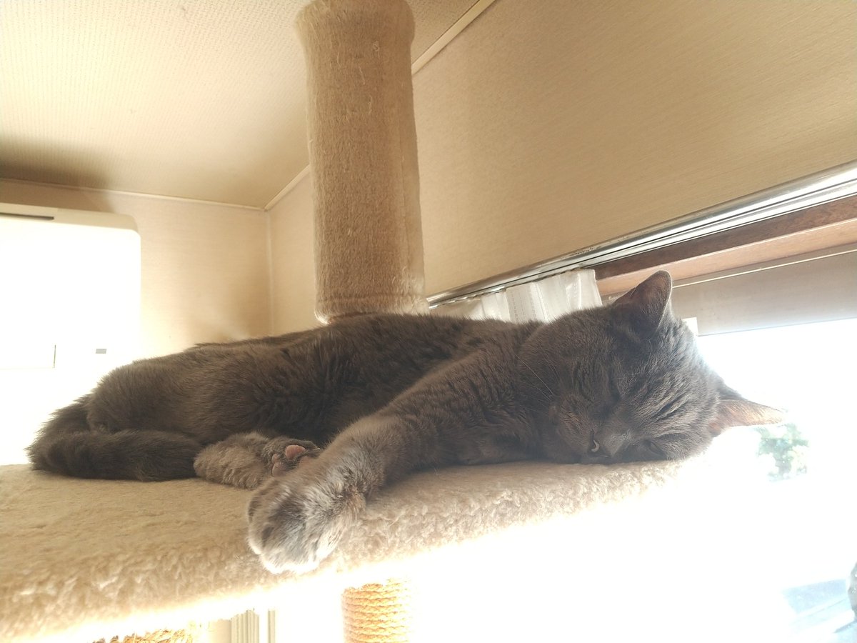 PYU〜作 tweet media