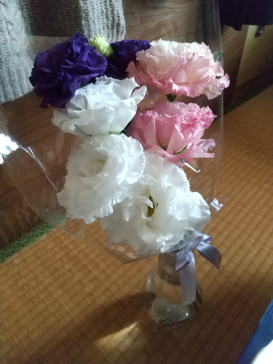 PYU〜作 tweet media