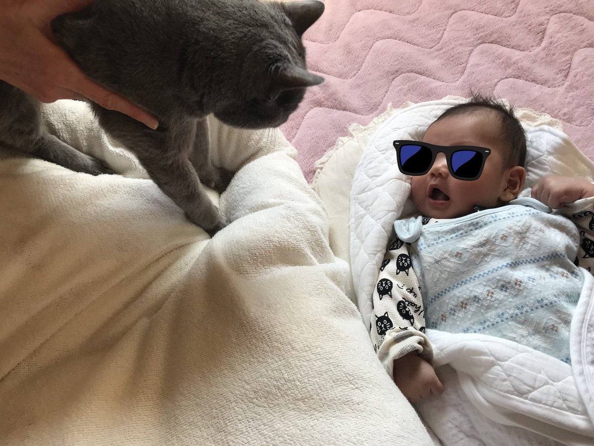 PYU〜作 tweet media