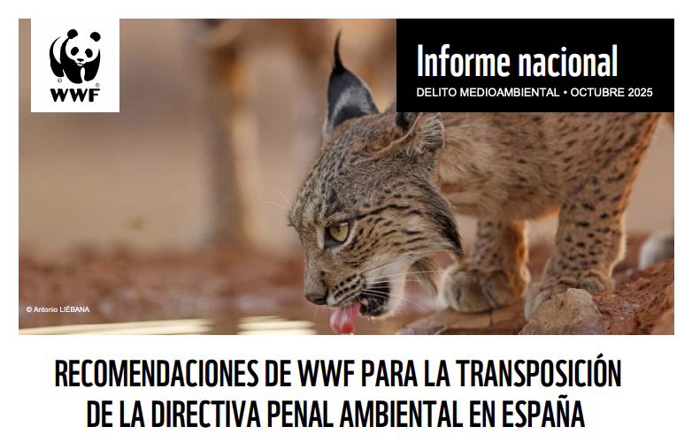WWF España 🐼 tweet media
