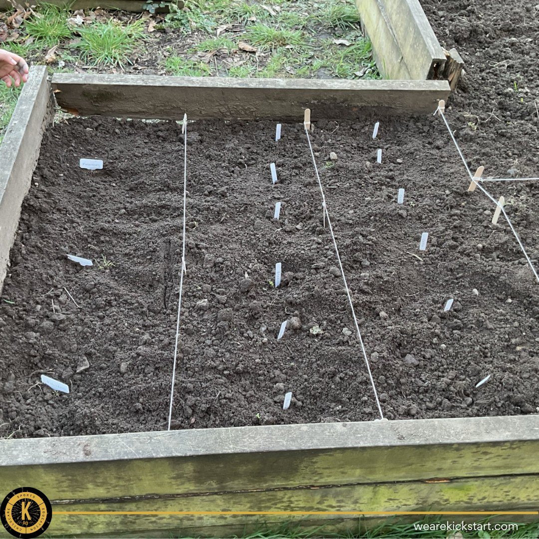 wearekickstart's tweet image. 🌍📚🌱At @StMatthewsPri, the children have created Chinese &amp;amp; Polish books to build cultural understanding and communication ❤️

They’re also growing vegetables, developing teamwork and responsibility 🌱✨

#Inclusion #LearningTogether #GrowingYoungMinds #Kickstart