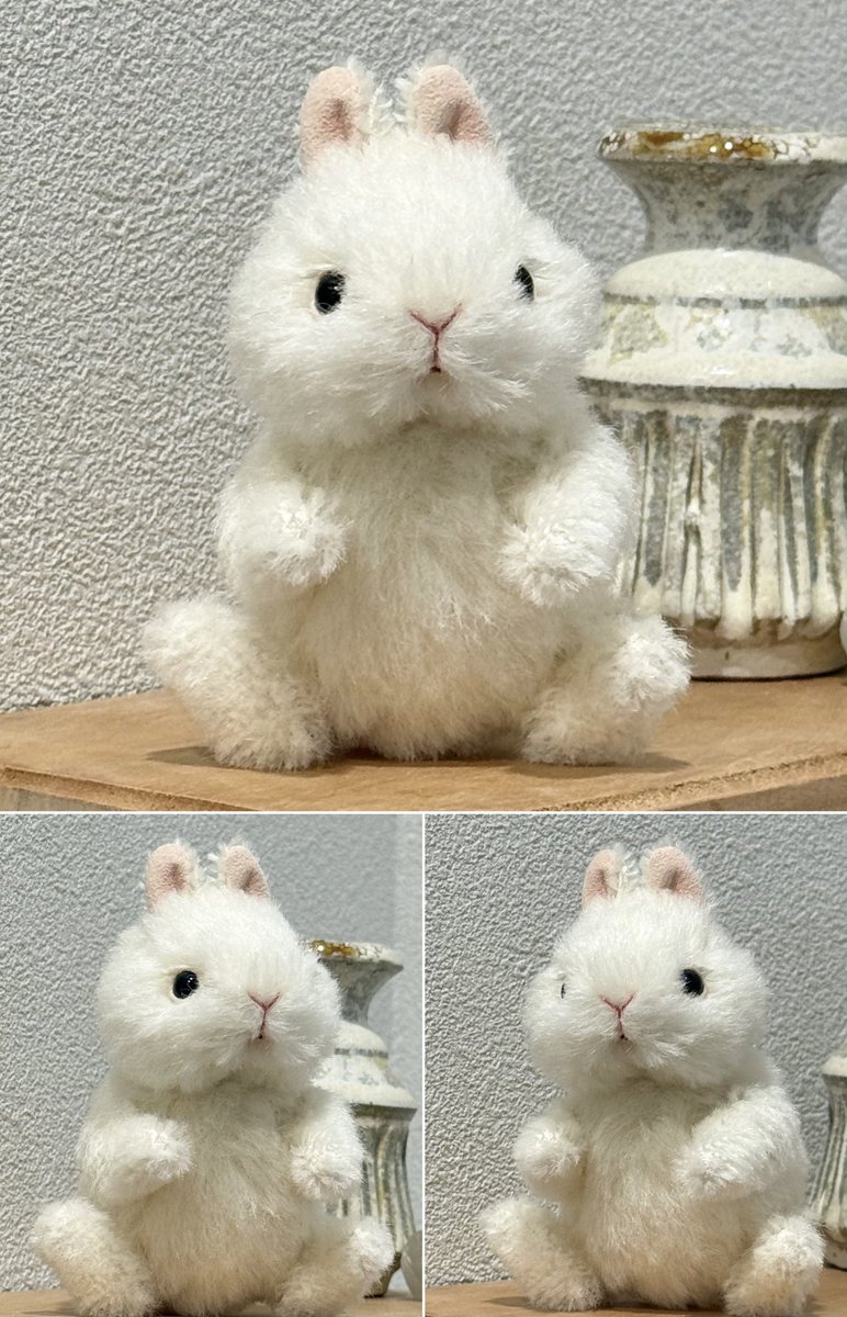 デザフェスお品書きです！ ネザーランドドワーフっぽいホワイトの