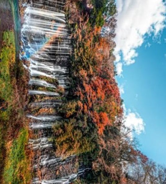 金子 拓士 tweet media