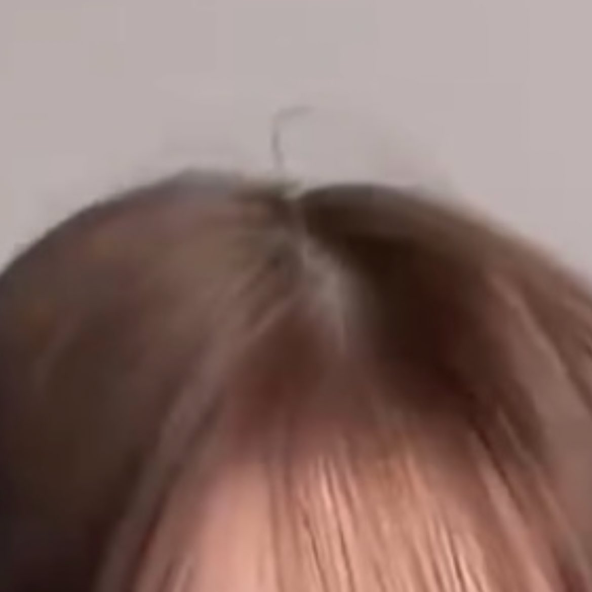 뚜통🍋 tweet media