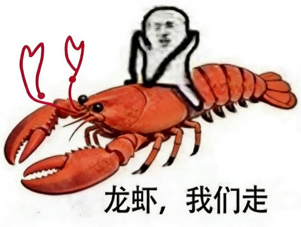 有没有大佬预言一下未来5-10年的风口