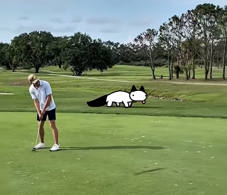 도마뱀 tweet media