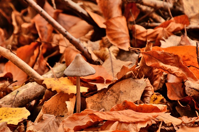 Ronald Freeman tweet media