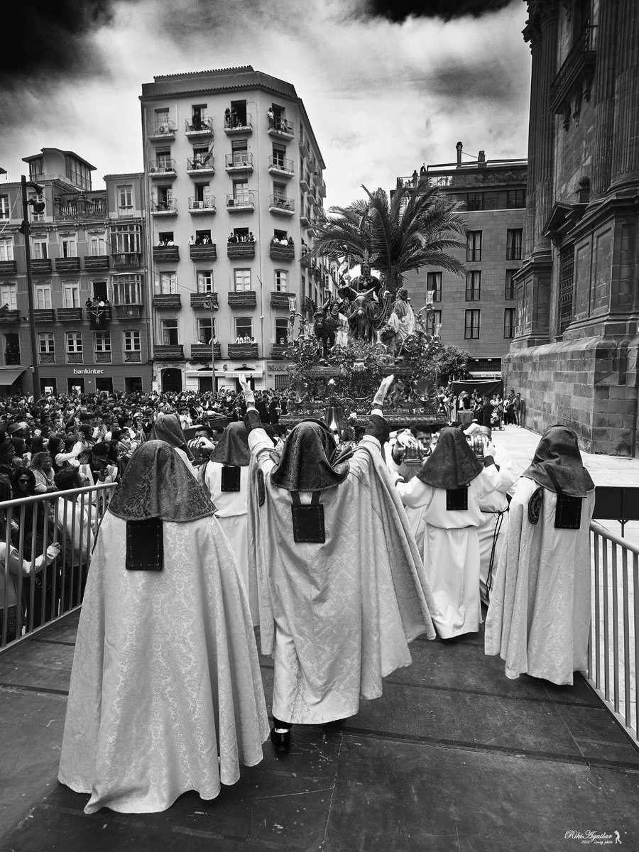 El mayordomo
<a href="/pollinicamalaga/">Cofradía Pollinica</a>