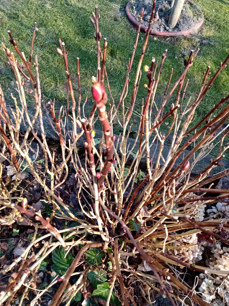 Old life and New 👍