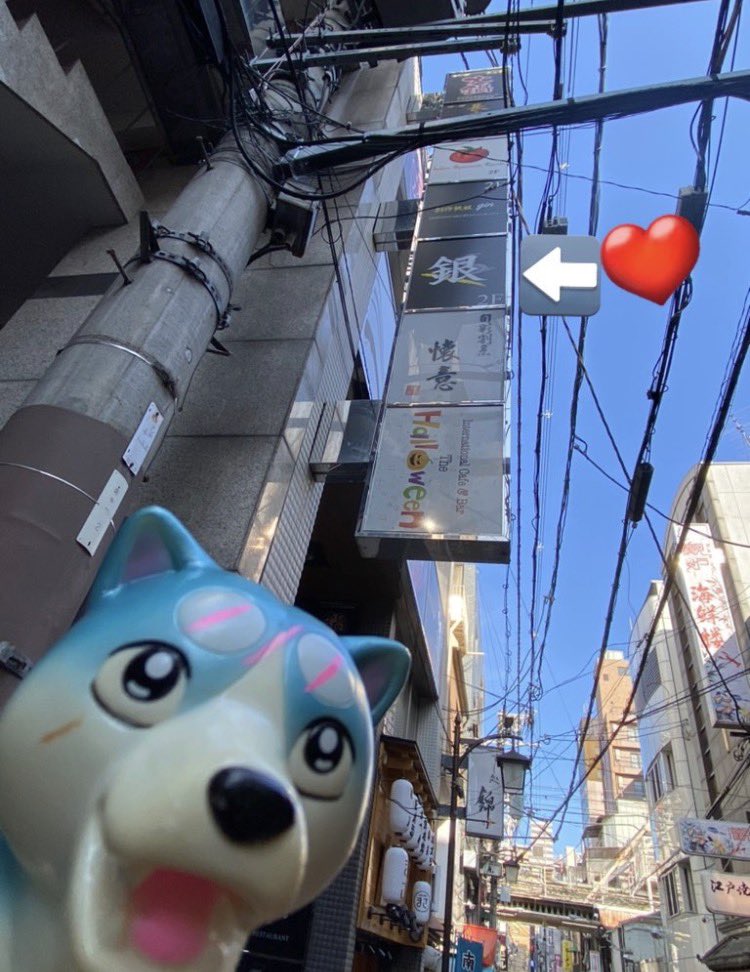 🌌高橋よしひろ先生新連載🌌銀牙伝説レクイエム🌌 (@katukatu210