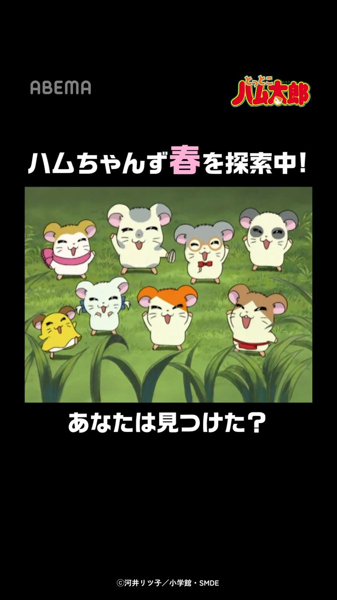 とっとこハム太郎」公式サイト運営 (@hamu86taro86) / Posts / X