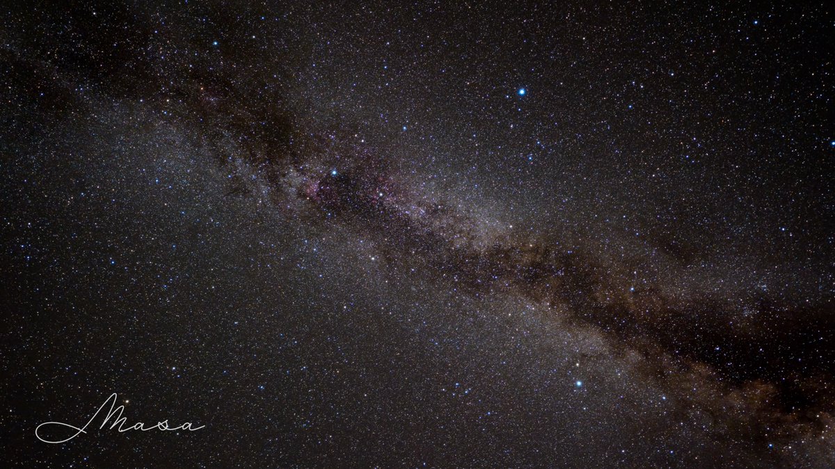 まさ/ Masa tweet media