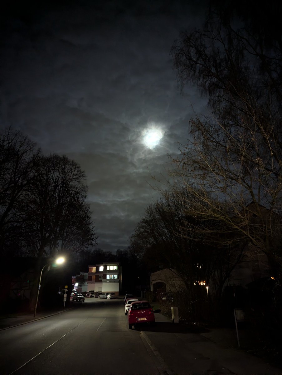 Wolfgang H. tweet media