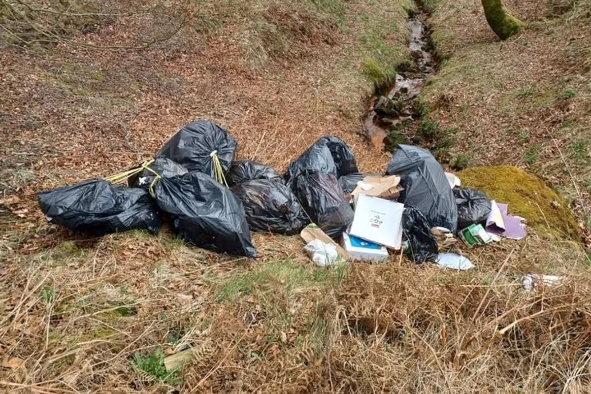 Patriotic 🇬🇧 Nation tweet media