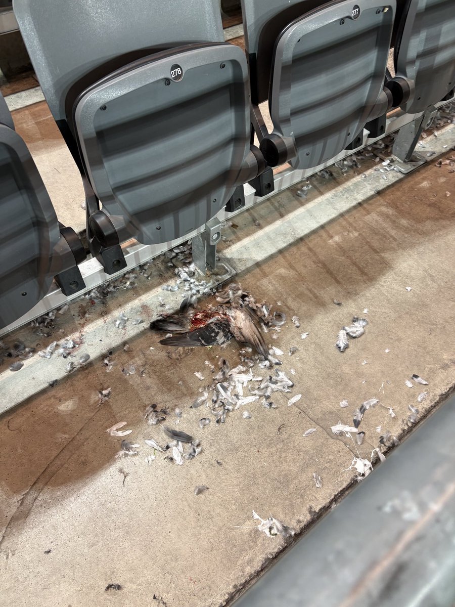 MrAbbasi tweet media