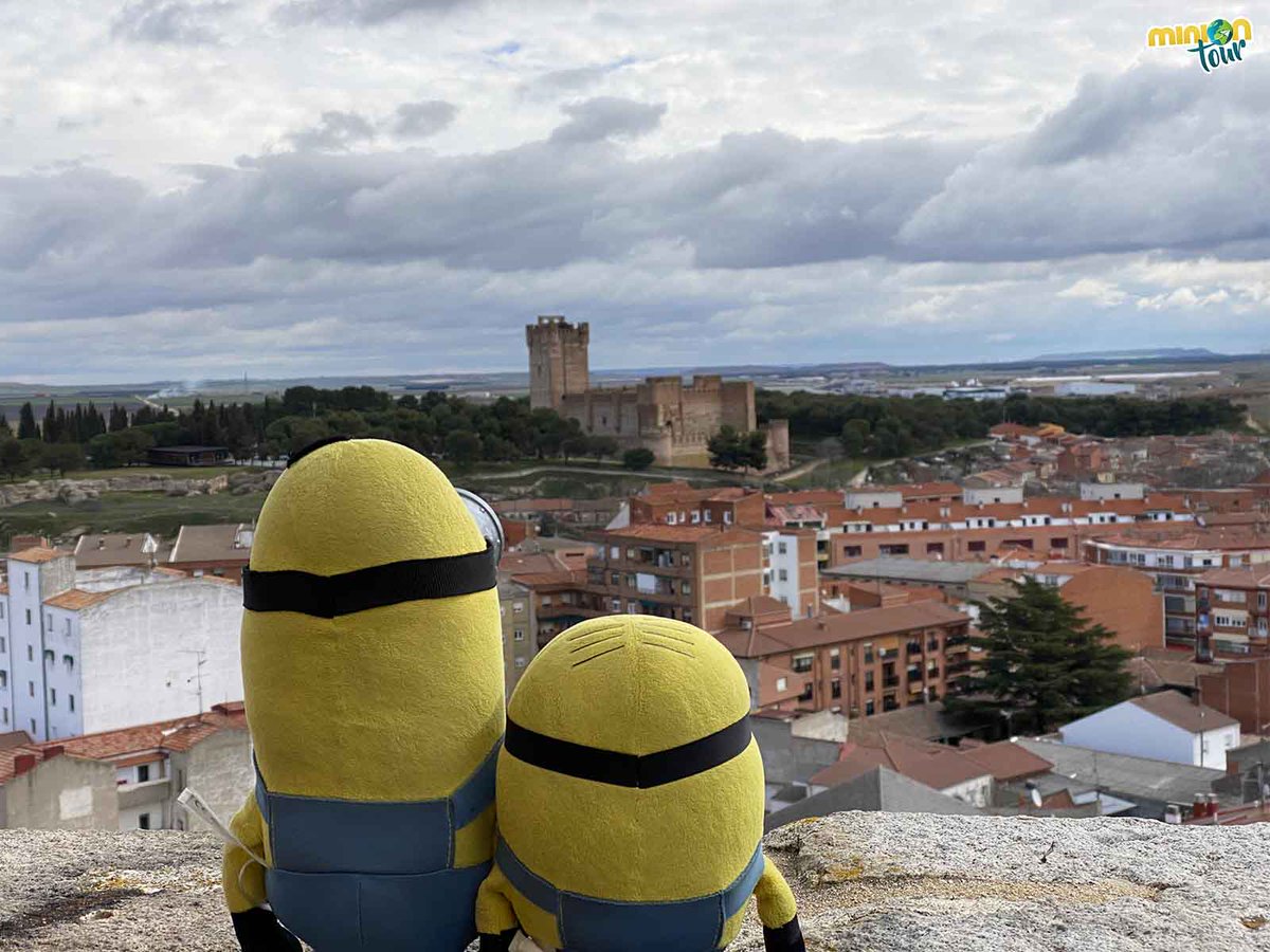 MiniOnTour tweet media