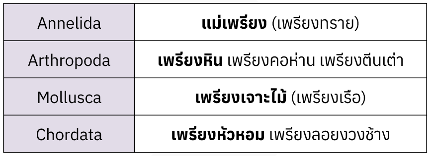 Fisherman | ชีวะไอ้มิว, A-Level, วิทย์การแพทย์ tweet media