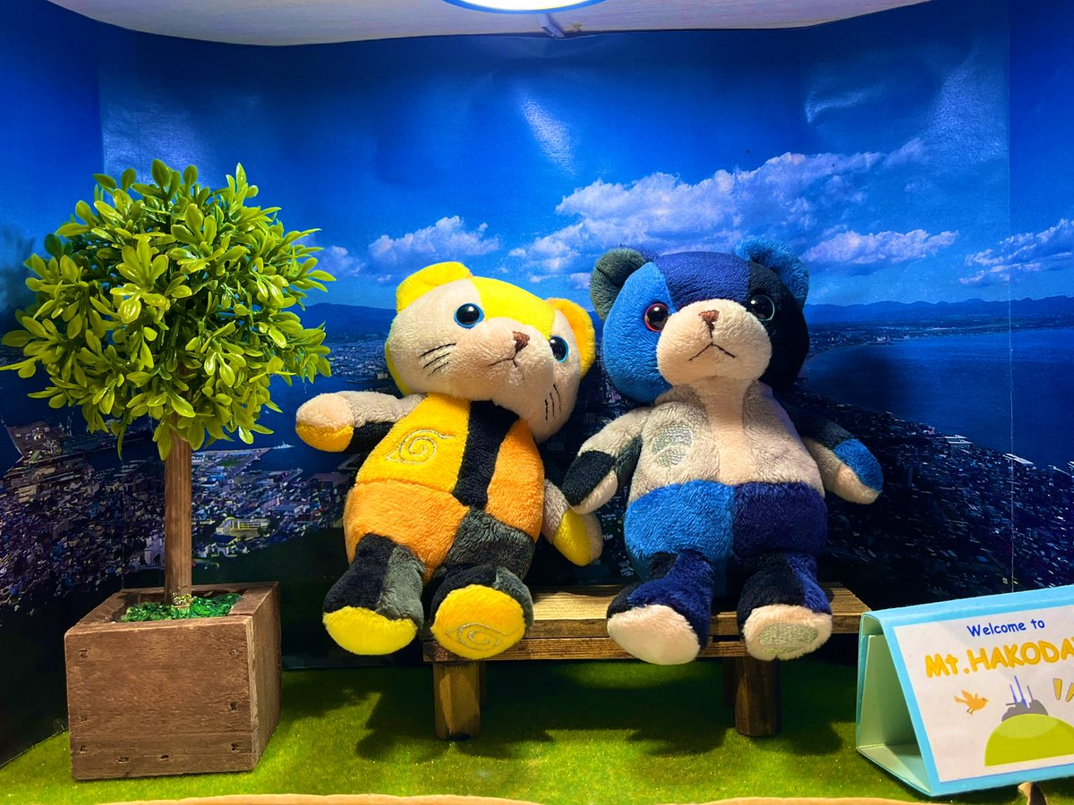 NASA_LULU's tweet photo. 🍥🐻🍅🐻北海道🇯🇵 https://t.co/vkWENi66VG