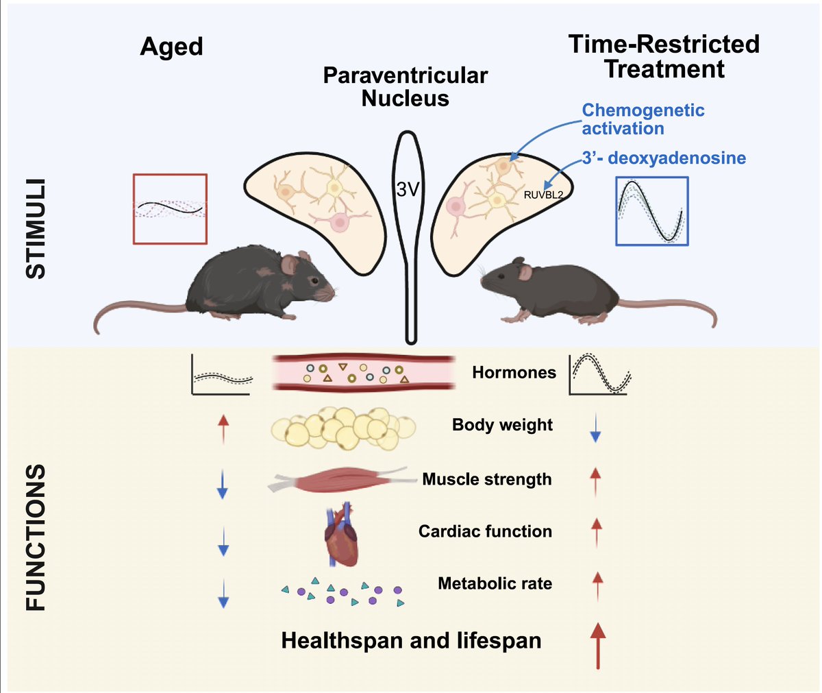 Eric Topol tweet media